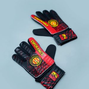 Gants Gardien Espérance 2024 – Édition Champions League